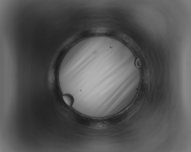 X0000101100731200807101446