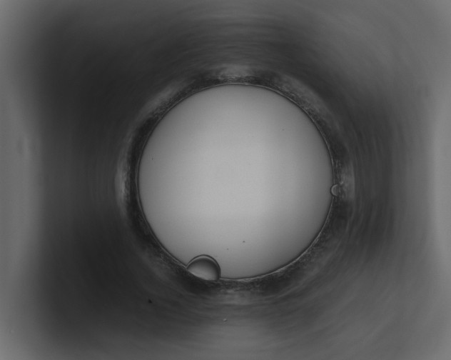 X0000101100732200807101447