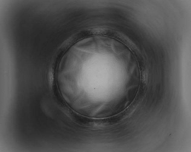 X0000101100733200807101447