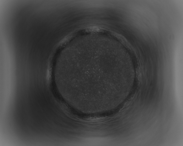 X0000101100735200807101447