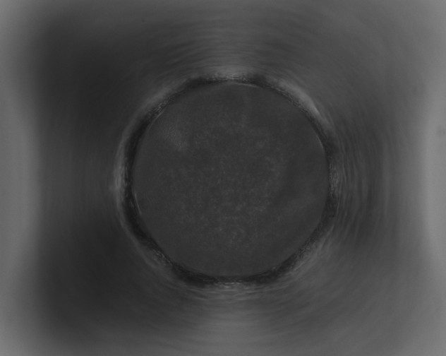X0000101100736200807101447