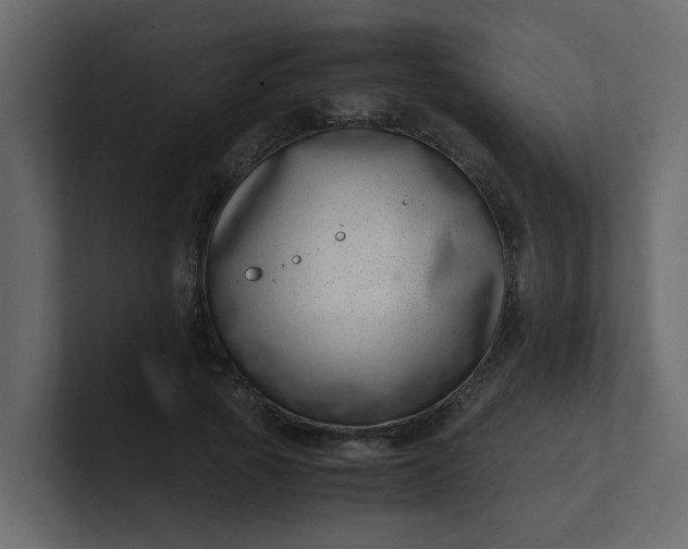 X0000101100737200807101447