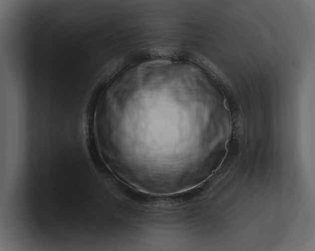 X0000101100738200807101447