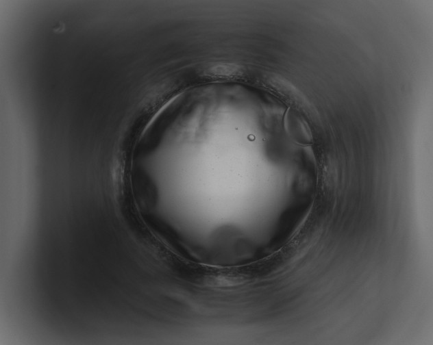 X0000101100739200807101447