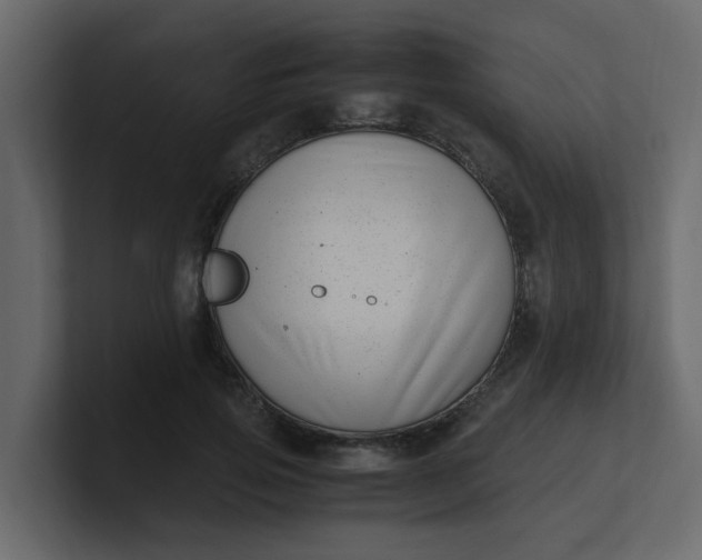 X0000101100741200807101447
