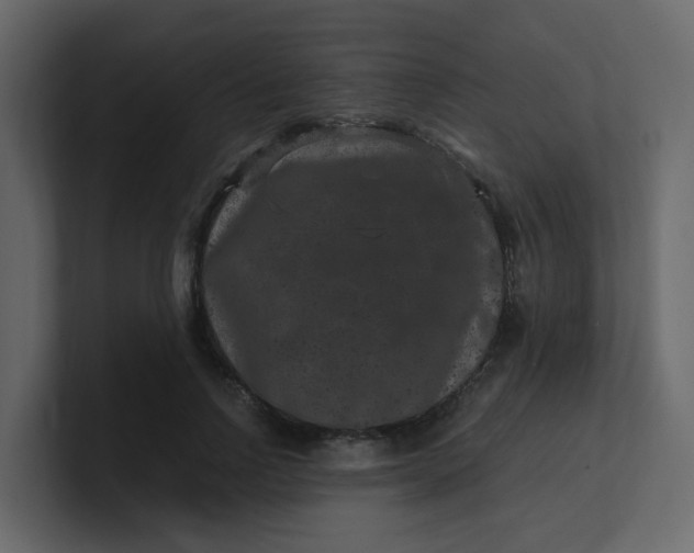X0000101100742200807101447