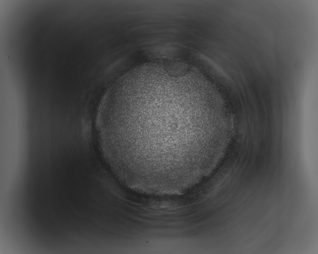 X0000101100745200807101447