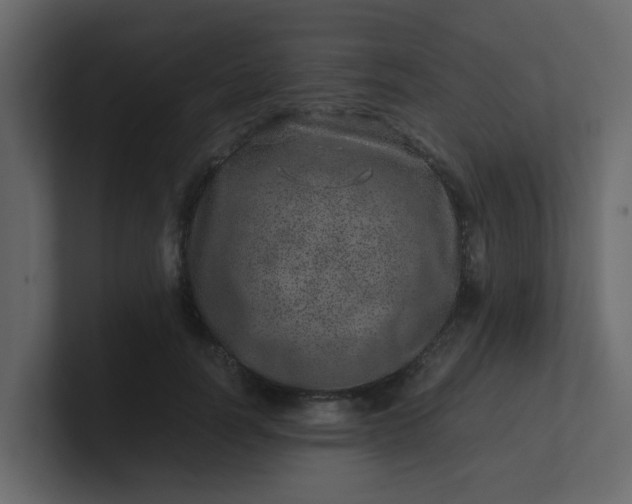 X0000101100746200807101447