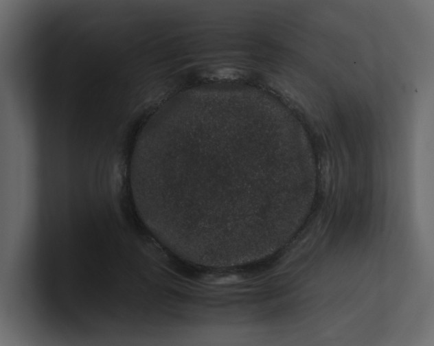 X0000101100747200807101447