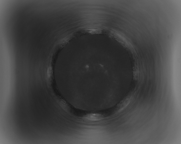 X0000101100748200807101447