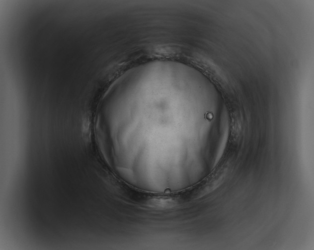 X0000101100749200807101447