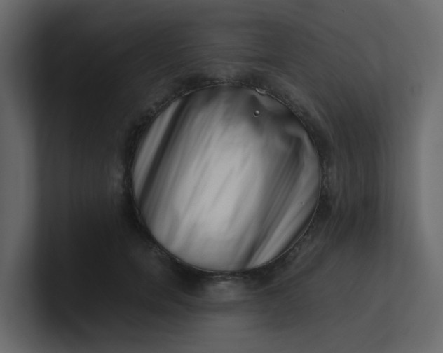 X0000101100750200807101447