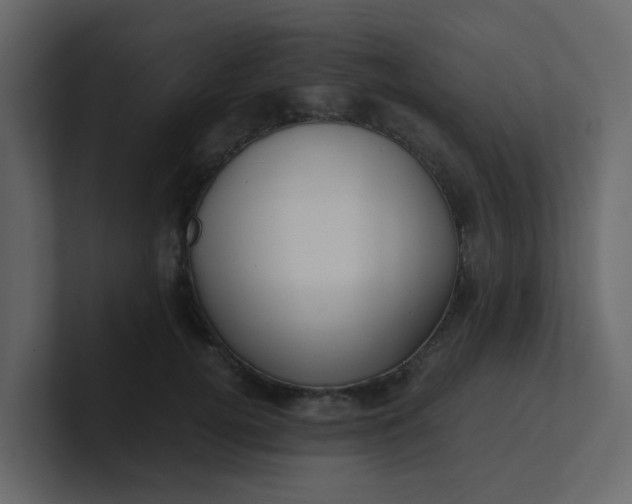 X0000101100752200807101447