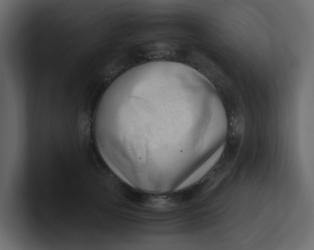 X0000101100753200807101447