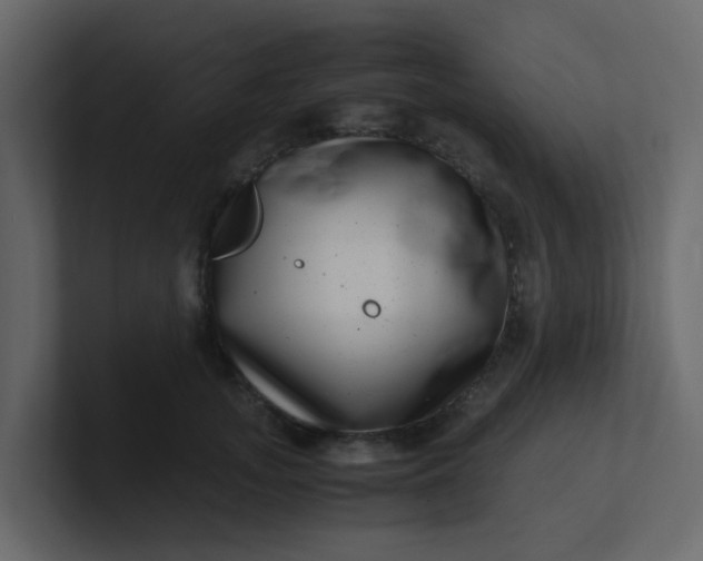 X0000101100755200807101447