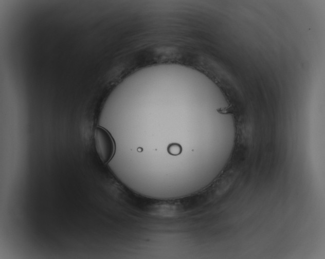 X0000101100756200807101447