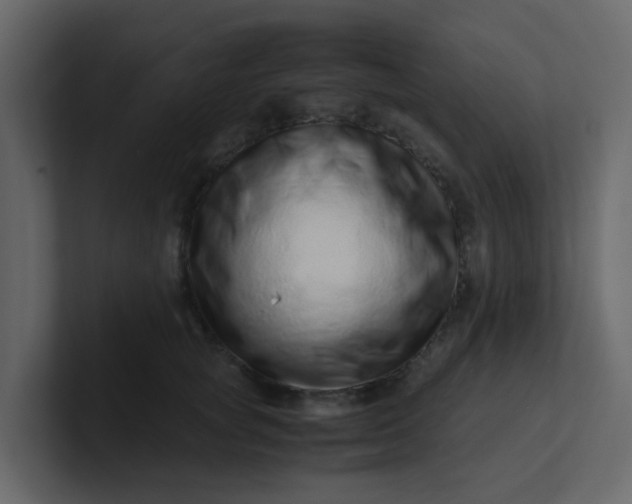 X0000101100757200807101447