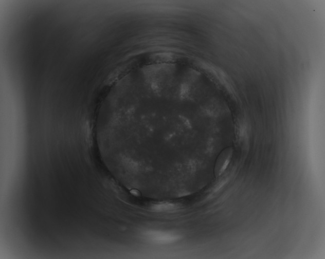 X0000101100759200807101447