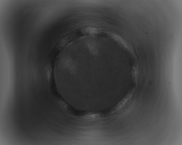 X0000101100760200807101447