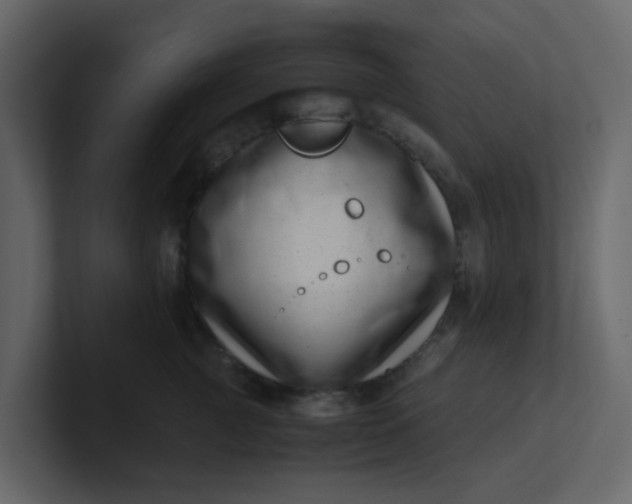X0000101100761200807101447