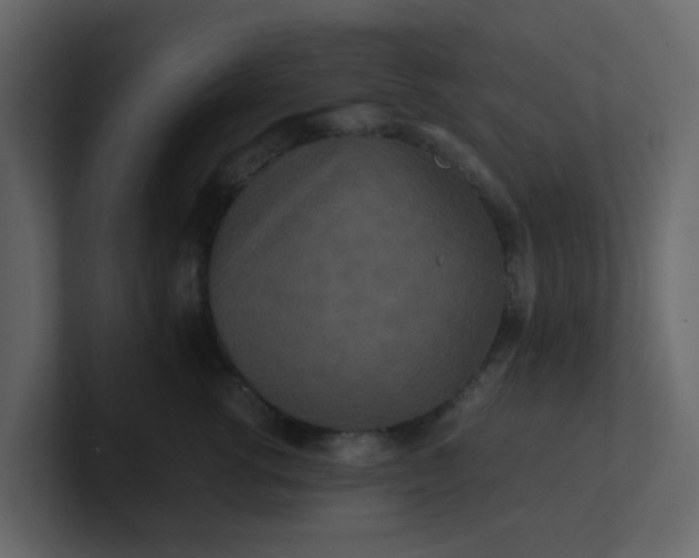 X0000101100762200807101447