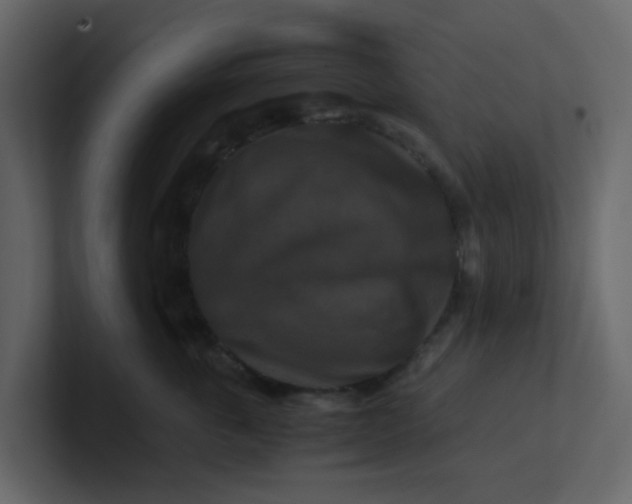 X0000101100763200807101447