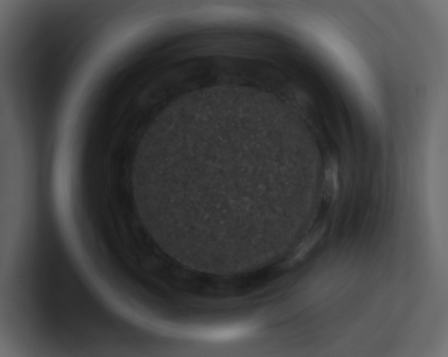 X0000101100765200807101447