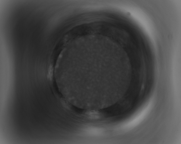 X0000101100767200807101447