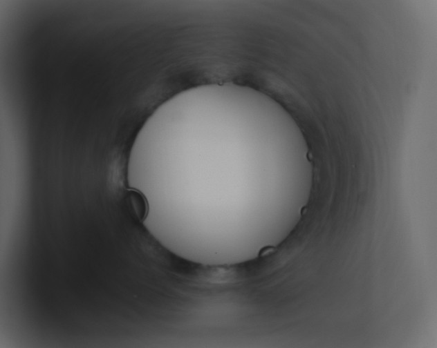 X0000101100768200807101447
