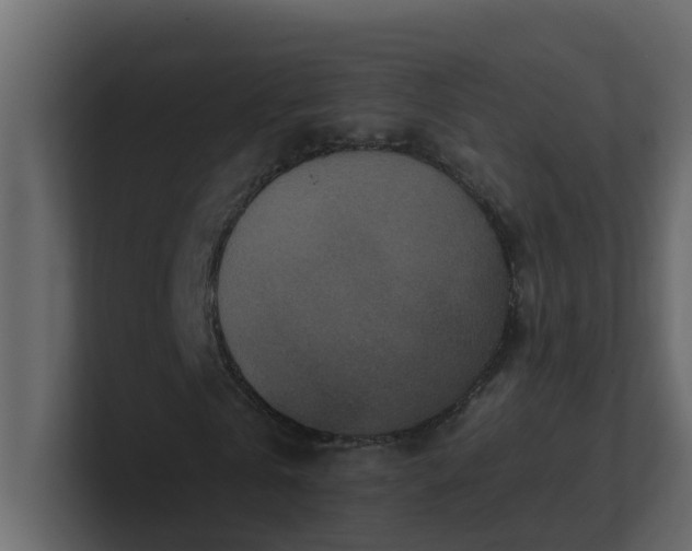 X0000101100769200807101446