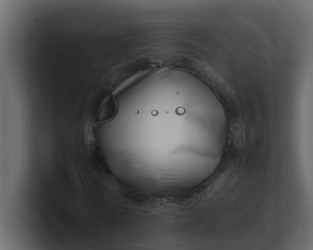 X0000101100770200807101446