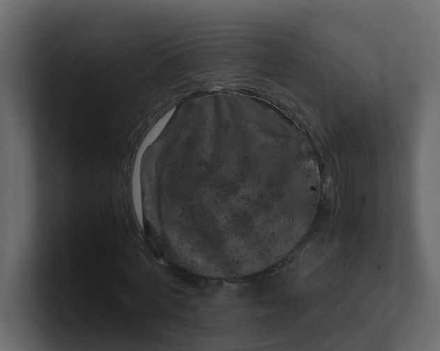 X0000101100772200807101446
