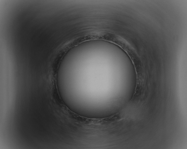 X0000101100773200807101446