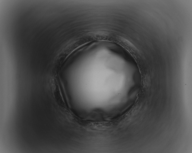 X0000101100774200807101446