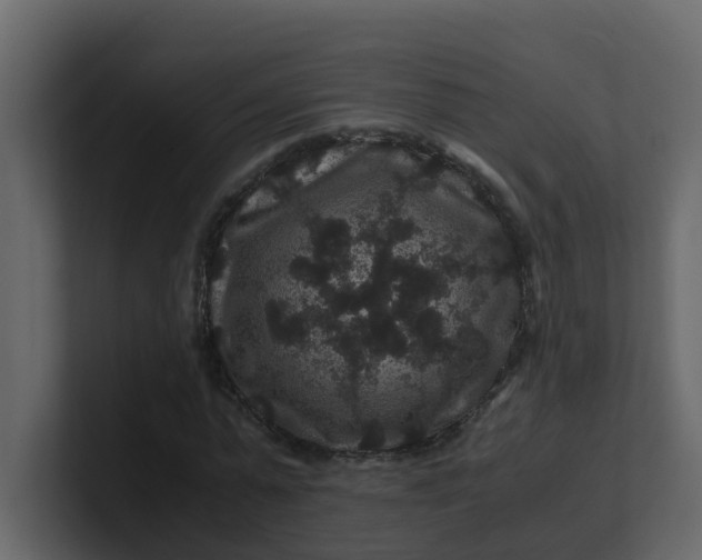 X0000101100775200807101446