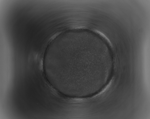 X0000101100777200807101446