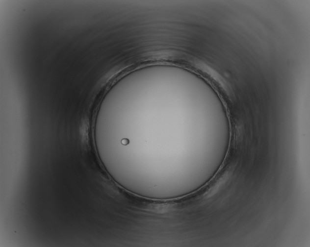 X0000101100778200807101446