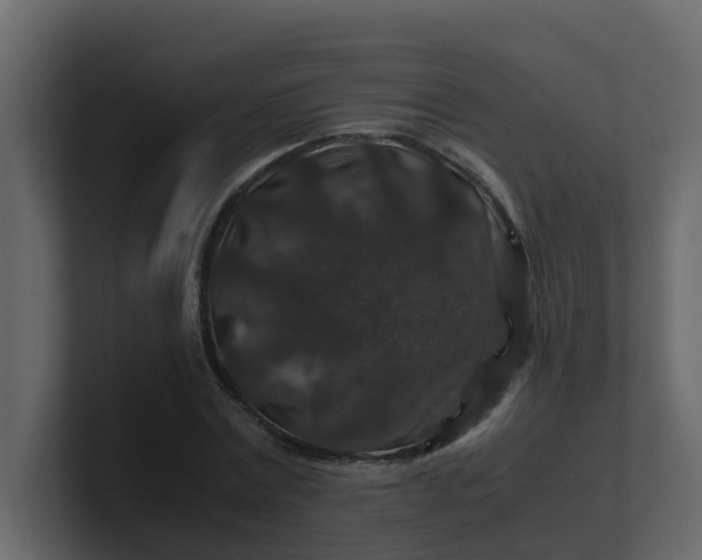 X0000101100779200807101446