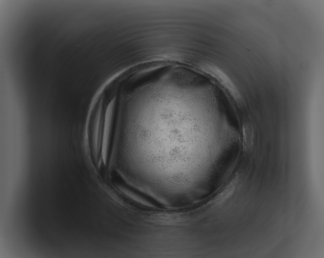 X0000101100780200807101446