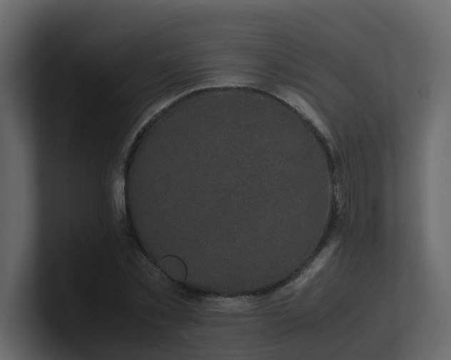 X0000101100781200807101446