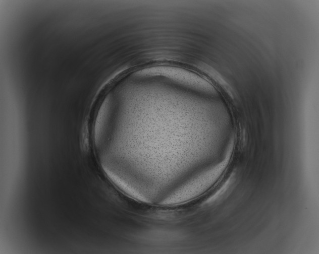 X0000101100782200807101446