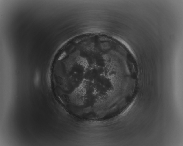 X0000101100783200807101446