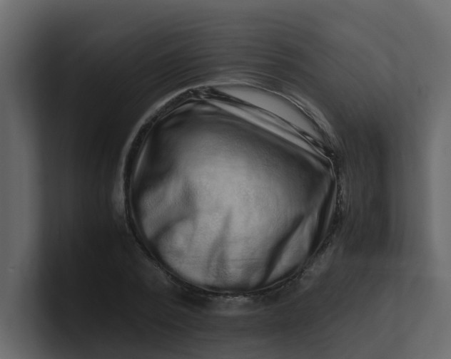 X0000101100784200807101446