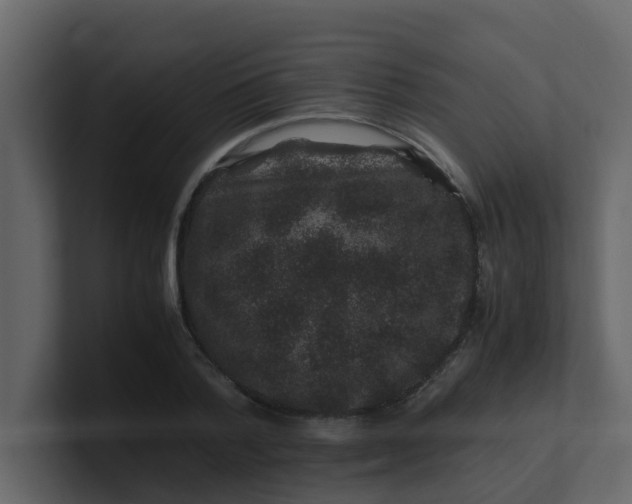X0000101100788200807101446
