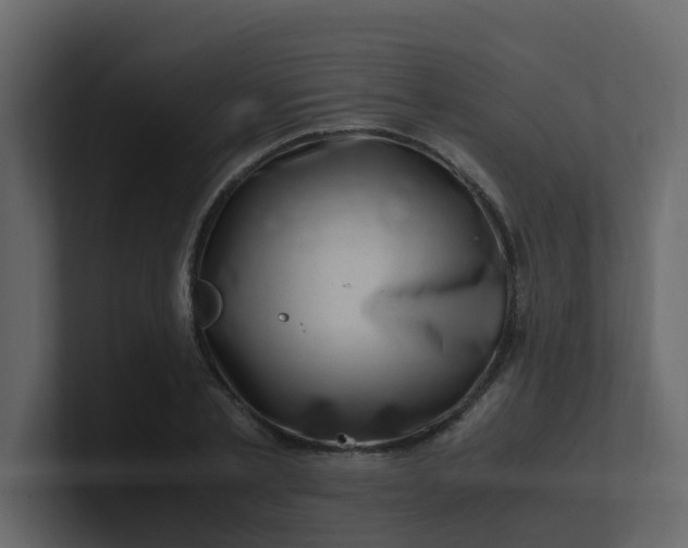 X0000101100789200807101446