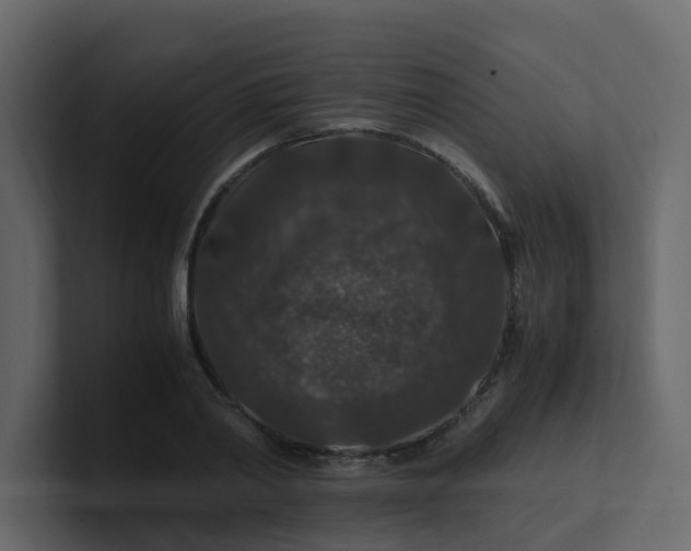 X0000101100790200807101446