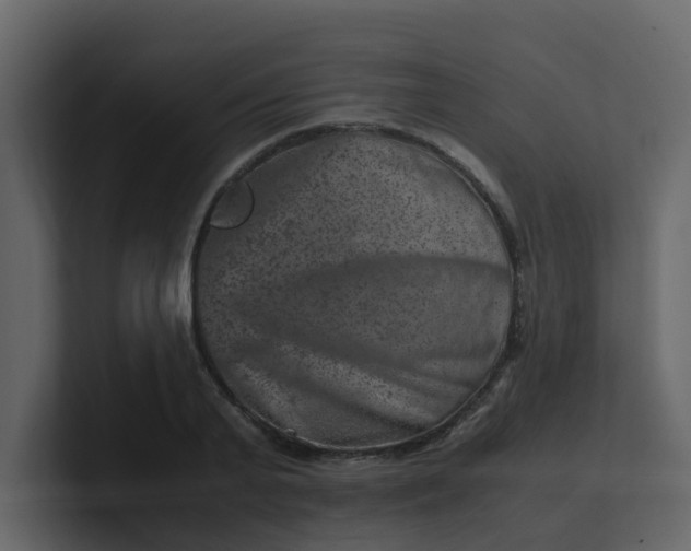 X0000101100791200807101446
