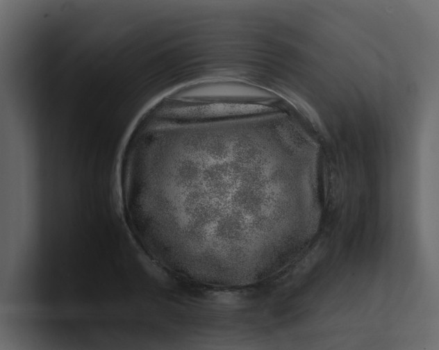 X0000101100792200807101446