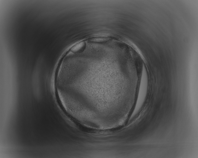X0000101100795200807101446