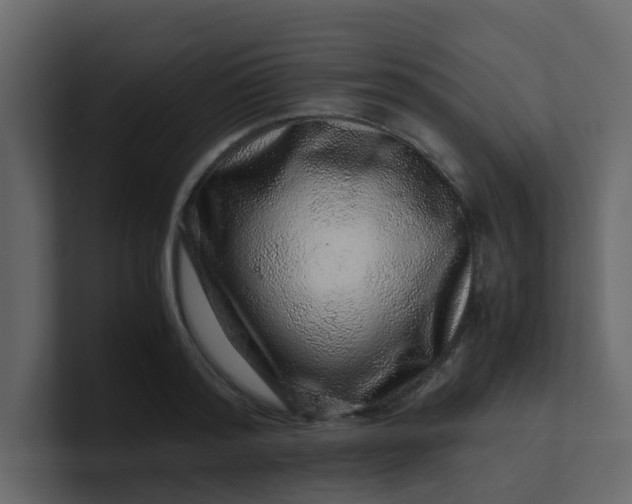 X0000101100796200807101446